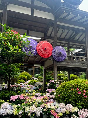 関東地方も梅雨入りしました!