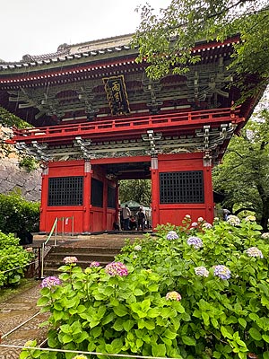 関東地方も梅雨入りしました!