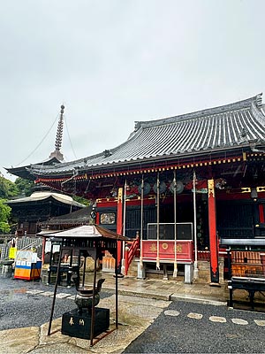 関東地方も梅雨入りしました!