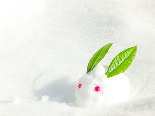 ���ļҥ����ۡ���ˤ� �ֿͷ����̿����ܺספ򳫺Ť������ޤ���