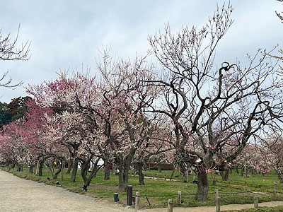 ��130��ǰ�ֿ�ͤ��ߤޤĤ�פ���븩��ͻԤ���ڱ�ǳ��Ť���Ƥ��ޤ���