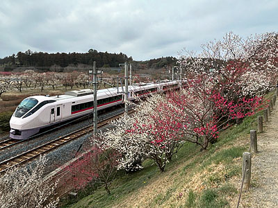 ��130��ǰ�ֿ�ͤ��ߤޤĤ�פ���븩��ͻԤ���ڱ�ǳ��Ť���Ƥ��ޤ���