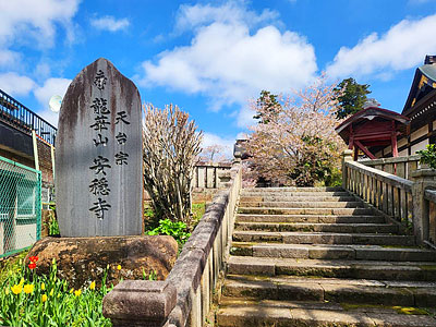 ������̴��������������Ǥ��ڤäƤ���롪