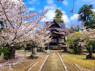 ������̴��������������Ǥ��ڤäƤ���롪